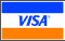 We Accept Visa Card